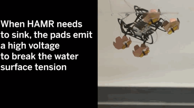 Harvard phát triển thành công robot đổ bộ siêu nhỏ có thể bơi lội, đi bộ dưới nước và lên bờ thành thạo - Ảnh 2.
