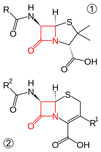 Kháng sinh có thể diệt vi khuẩn, nhưng cũng có thể trở thành bữa ăn của chúng - Ảnh 3. Kháng sinh có thể diệt vi khuẩn, nhưng cũng có thể trở thành bữa ăn của chúng - Ảnh 3.