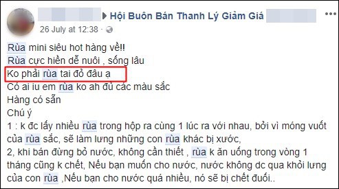 Nở rộ trào lưu bán rùa mini sơn đủ màu trên mạng xã hội, Nhà Rùa học Hà Đình Đức lên tiếng cảnh báo - Ảnh 11.