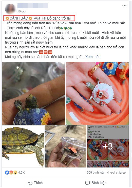 Nở rộ trào lưu bán rùa mini sơn đủ màu trên mạng xã hội, Nhà Rùa học Hà Đình Đức lên tiếng cảnh báo - Ảnh 17.