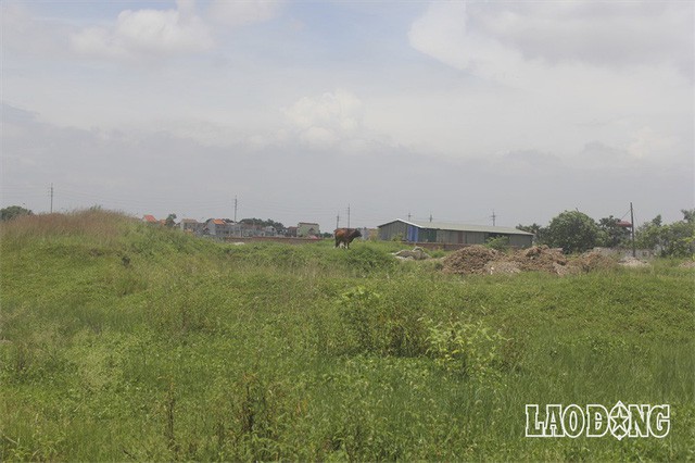  Hàng chục dự án “đất vàng nghìn tỉ” ở Mê Linh bị bỏ hoang sau 10 năm Hà Nội sáp nhập  - Ảnh 9.