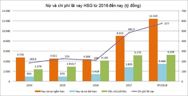  Dấu hỏi về khoản nợ vay 15.880 tỷ của Hoa Sen  - Ảnh 1.