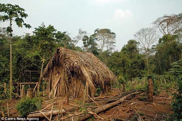 Người đàn ông cô độc nhất thế gian: Sống một mình suốt 22 năm trong khu rừng rậm Amazon - Ảnh 5.