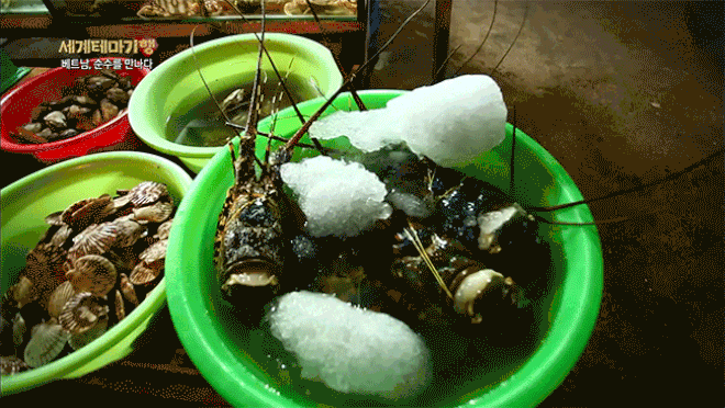 đầu tư giá trị - Thiên đường hải sản Bờ Kè (Mũi Né) làm choáng ngợp người xem khi lên sóng đài Hàn Quốc - photo đầu tư giá trị - photo 5 15348214763172052410925 - Thiên đường hải sản Bờ Kè (Mũi Né) làm choáng ngợp người xem khi lên sóng đài Hàn Quốc
