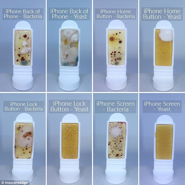 Hình ảnh kinh hoàng về độ bẩn của những chiếc điện thoại: Nhiều vi khuẩn gấp 10 lần bồn cầu - Ảnh 2.