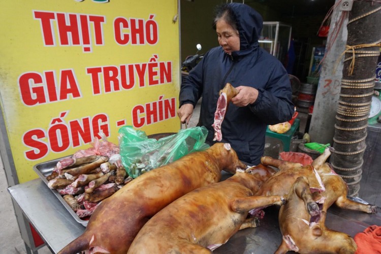 Nơi cả làng ăn thịt chó ngày Tết ở Hà Nội: "Đã là tục lệ thì giỗ ...