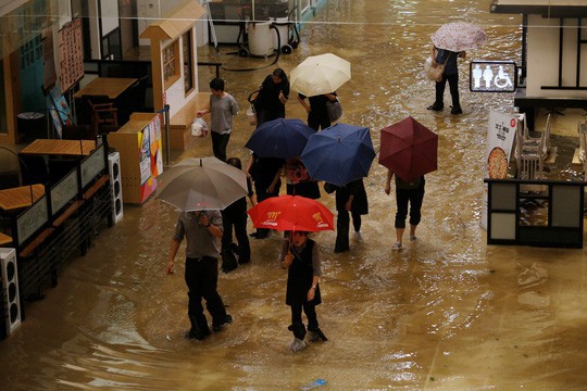 Bão Mangkhut xô nghiêng nhà cửa, người già ở Hồng Kông quyết không sơ tán - Ảnh 3.