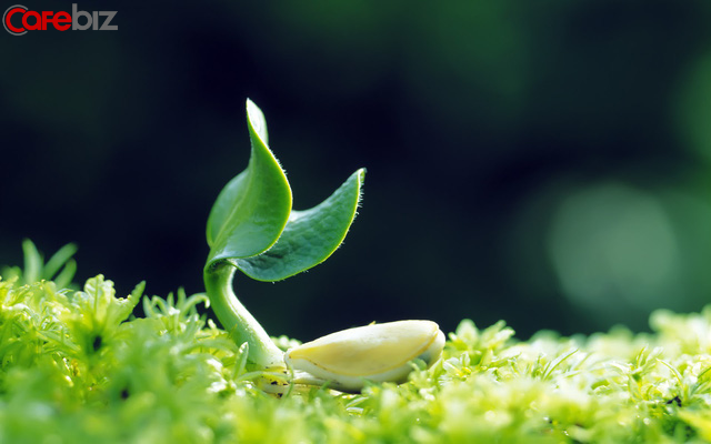 Bạn giết thời gian thế nào, thời gian sẽ giết lại bạn như thế! - Ảnh 1. Bạn giết thời gian thế nào, thời gian sẽ giết lại bạn như thế! - Ảnh 1.