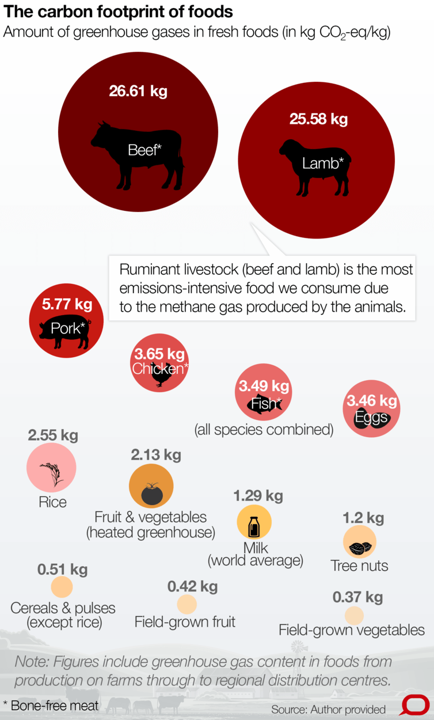 (Bài chủ nhật) Các quốc gia nào tiêu thụ thịt nhiều nhất thế giới? - Ảnh 2.
