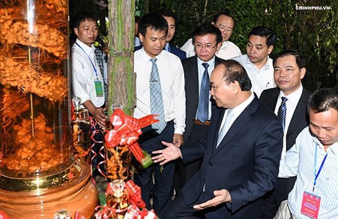  Thủ tướng kỳ vọng sâm Ngọc Linh mang lại giá trị tỷ USD thập niên tới  - Ảnh 1.