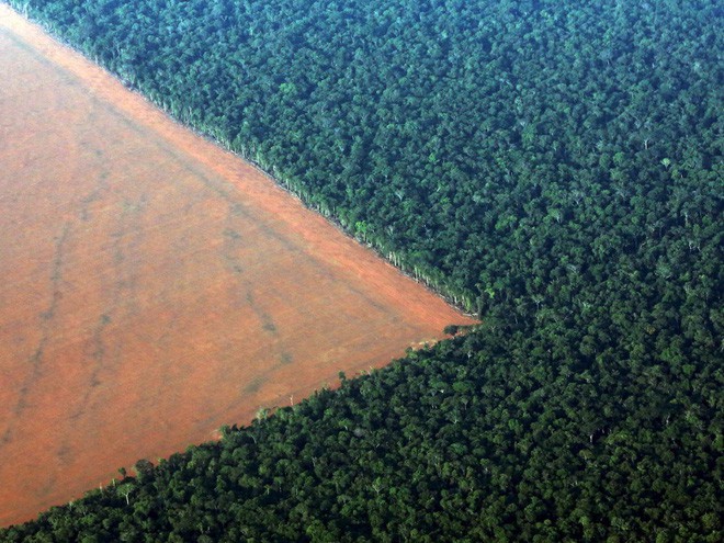 Những hình ảnh hiếm về bộ lạc nguyên thủy trong vùng rừng Amazon  Báo Dân  trí