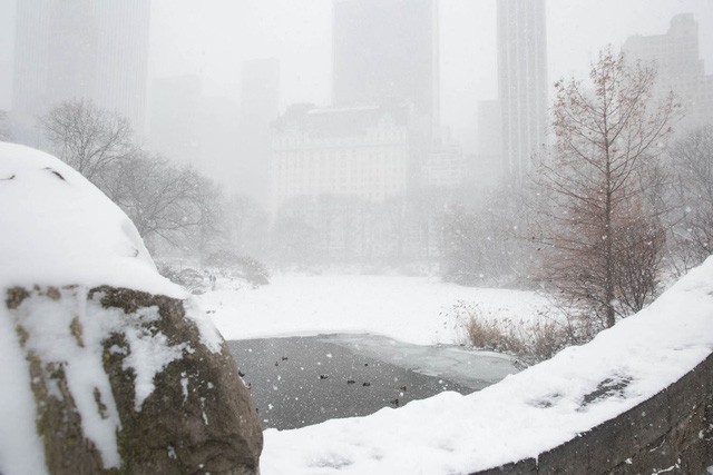 New York như hành tinh khác trong trận bão tuyết khiến nước Mỹ lạnh hơn sao Hỏa - Ảnh 9.
