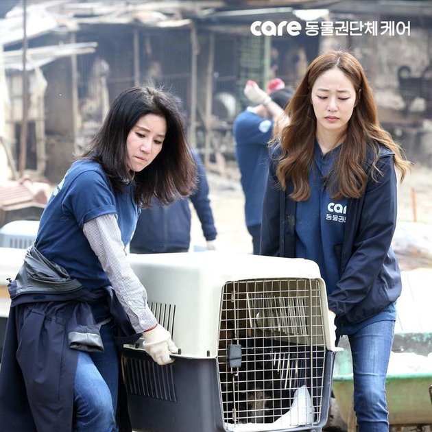 Tổ chức bảo vệ động vật hàng đầu Hàn Quốc bị tố giết hại hàng trăm con chó để kiếm thêm tiền quyên góp - Ảnh 3.
