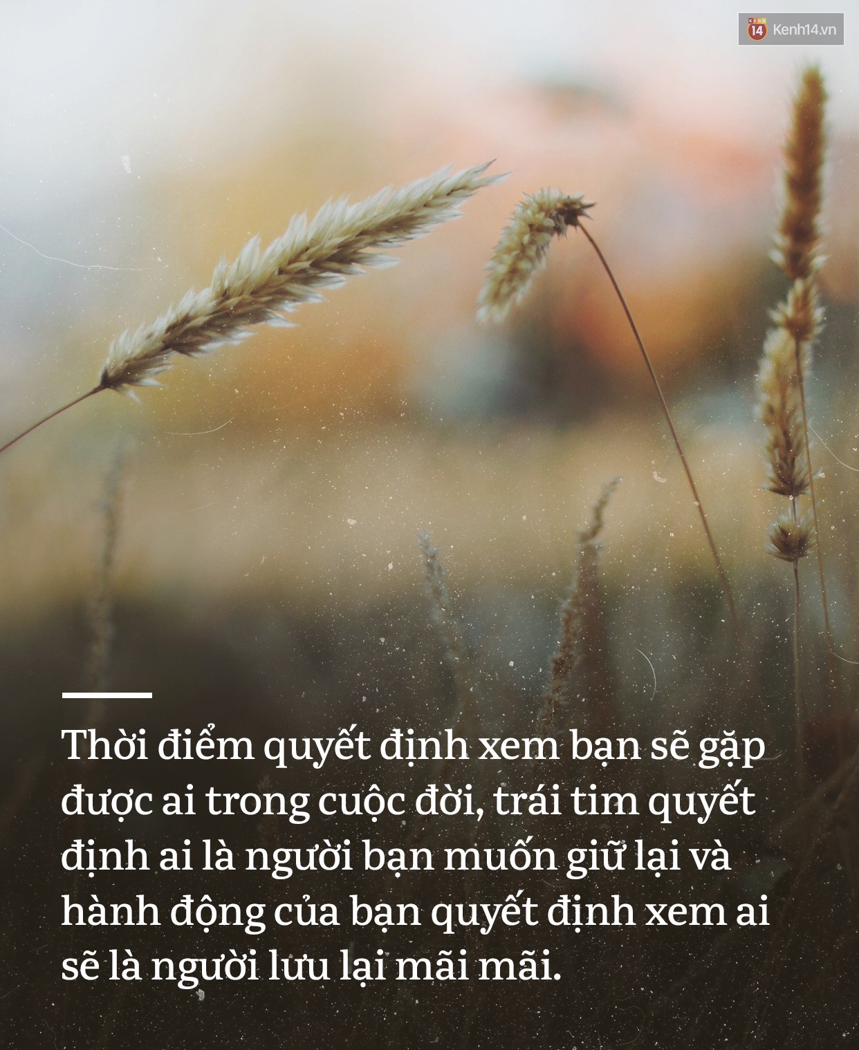 châm ngôn sống của năm 2019 - 13 câu nói xứng đáng để bạn chọn làm châm ngôn sống của năm 2019 - photo châm ngôn sống của năm 2019 - photo 10 1546393975036874826643 - 13 câu nói xứng đáng để bạn chọn làm châm ngôn sống của năm 2019