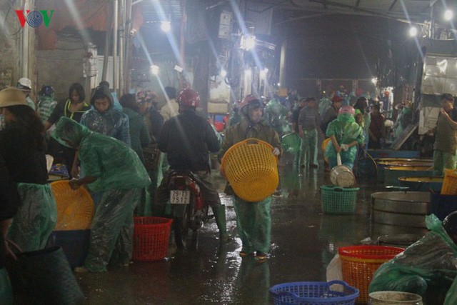  Chợ cá lớn nhất Hà Nội nhộn nhịp trước lễ ông Công ông Táo  - Ảnh 2.