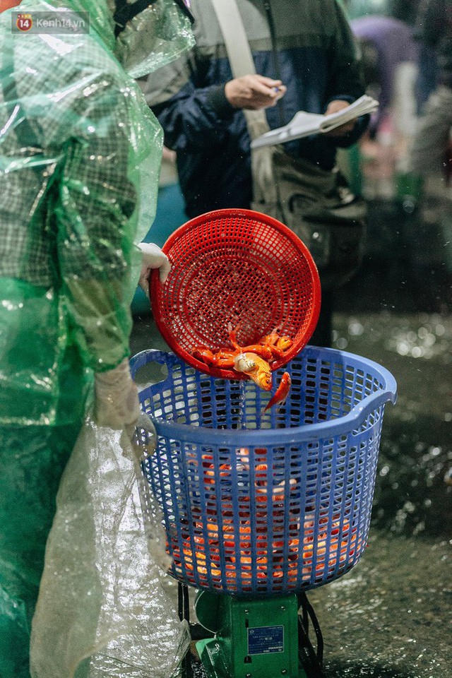  Ảnh, clip: Chợ cá lớn nhất Hà Nội nhộn nhịp từ tờ mờ sáng ngày tiễn ông Công ông Táo về trời  - Ảnh 21.