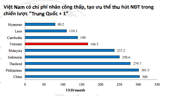  Kinh tế Việt Nam có thể trụ vững trước những rủi ro mang tính toàn cầu?  - Ảnh 16.