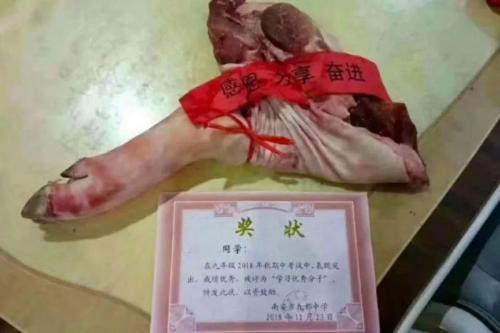 Các trường học Trung Quốc thi nhau tặng thịt lợn, chân giò cho học sinh xuất sắc để ăn Tết Kỷ Hợi - Ảnh 3.