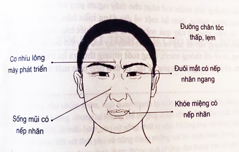 Trăng Hoa là Gì? - Tất Cả Những Điều Bạn Cần Biết