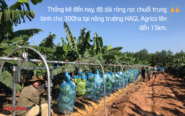  Rót hơn tỷ USD vào HAGL: Chuyện chẳng đùa và giấc mơ khủng về hệ sinh thái nông nghiệp của tỷ phú Trần Bá Dương (Kỳ 2)  - Ảnh 5.