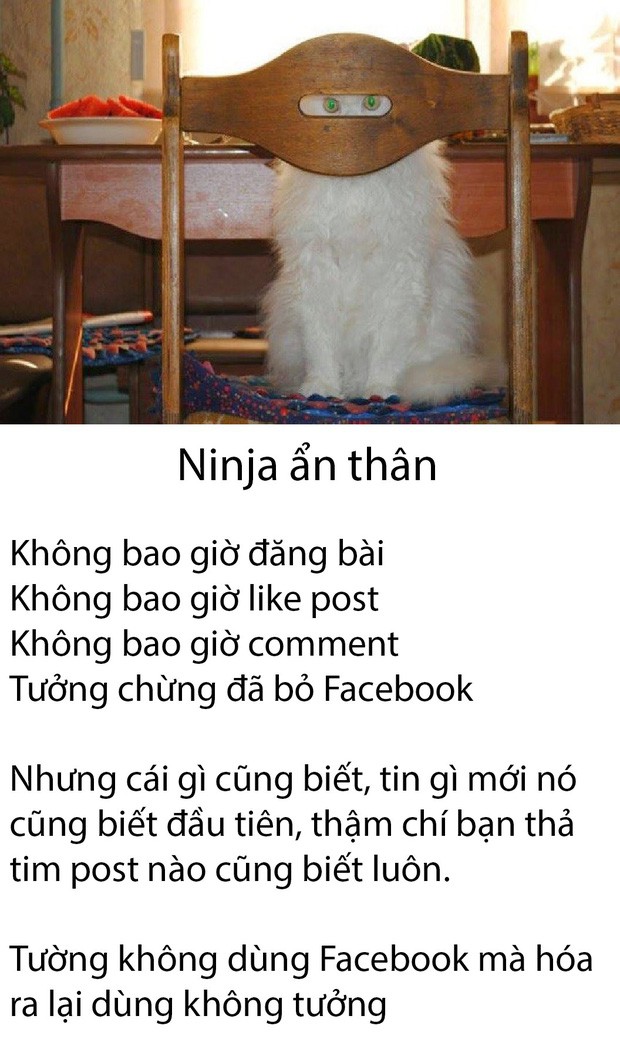 Những kiểu người điển hình xuất hiện nhan nhản trên mạng xã hội mà chúng ta chắc chắn đã gặp - Ảnh 9.