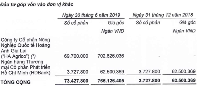  THACO tăng 6.500 tỷ dư nợ vay: Nếu 1 năm mà không thấy hướng ra dễ bị ngân hàng ‘chặt’ luôn cùng HAGL, vì mình cũng nợ  - Ảnh 1.