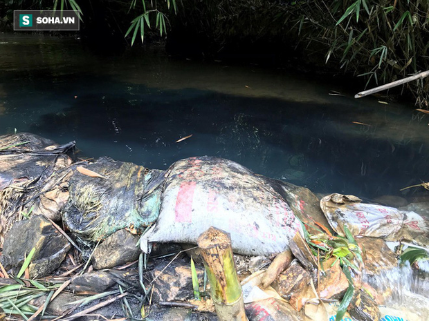  Nhân chứng kể việc phát hiện dầu thải đổ trộm xuống suối đầu nguồn nhà máy nước sông Đà  - Ảnh 3.