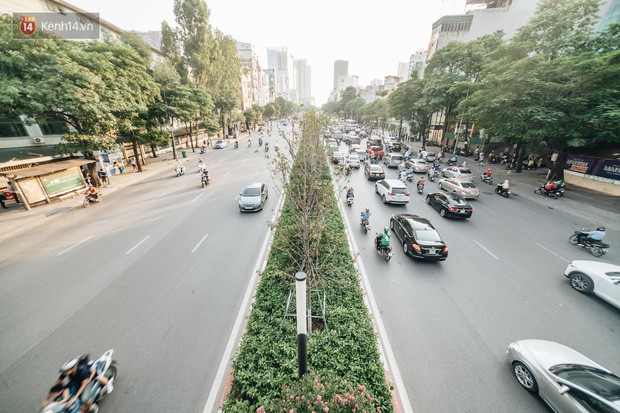 Ngỡ ngàng nhìn hàng phong lá đỏ chết khô trên đường phố Hà Nội dịp vào thu - Ảnh 1.