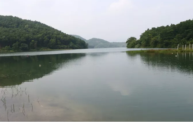 Sau vụ ô nhiễm nguồn nước, Hòa Bình đòi Công ty nước sạch Sông Đà trả hồ Đầm Bài - Ảnh 1.