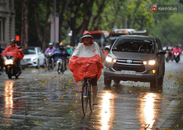 Chùm ảnh: Hà Nội đón cơn mưa rào sau nhiều ngày hanh khô, chỉ số chất lượng không khí được cải thiện - Ảnh 3.