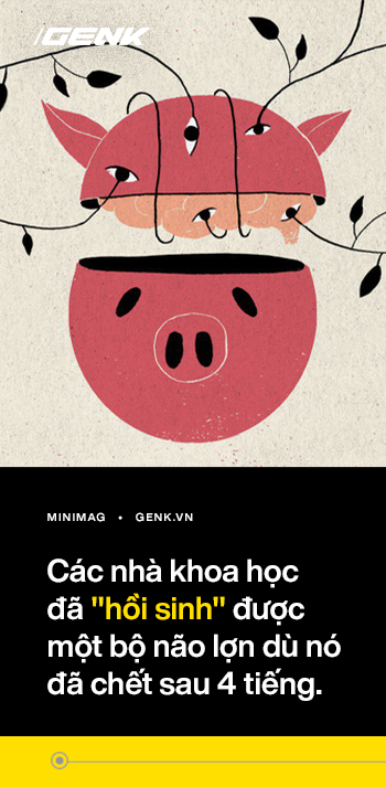 Một ngày thần chết sẽ nghỉ hưu: Con người đang định nghĩa lại cái chết và tìm cách đảo ngược nó - Ảnh 6. Một ngày thần chết sẽ nghỉ hưu: Con người đang định nghĩa lại cái chết và tìm cách đảo ngược nó - Ảnh 6.