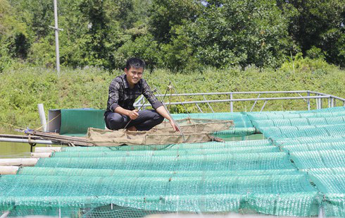 Quảng Bình: Chàng thanh niên làm giàu từ nuôi cá chình - Ảnh 1.