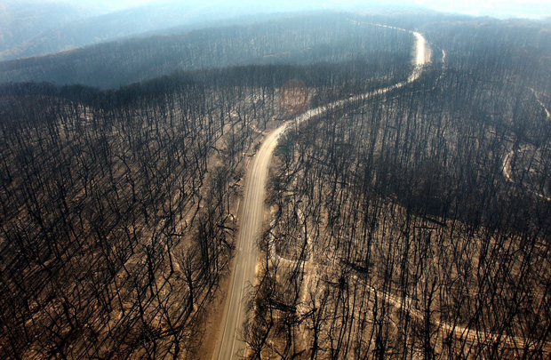 Cháy rừng Australia khủng khiếp hơn, 6 triệu người trong tình trạng khẩn cấp - Ảnh 1.