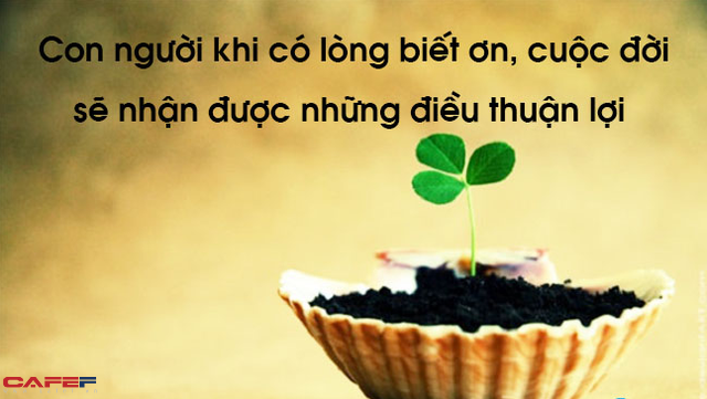  Khoa học giải thích tại sao biết ơn là chìa khóa kéo dài tuổi thọ, hạn chế đau khổ và tăng cường sức khỏe  - Ảnh 1.