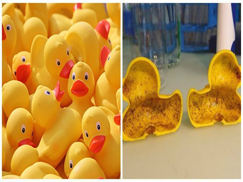  Cảnh báo: Một số đồ chơi trẻ em bằng nhựa ở Thái Lan được phát hiện chứa lượng lớn hóa chất ảnh hưởng đến sinh sản và nguy cơ mắc ung thư  - Ảnh 3.