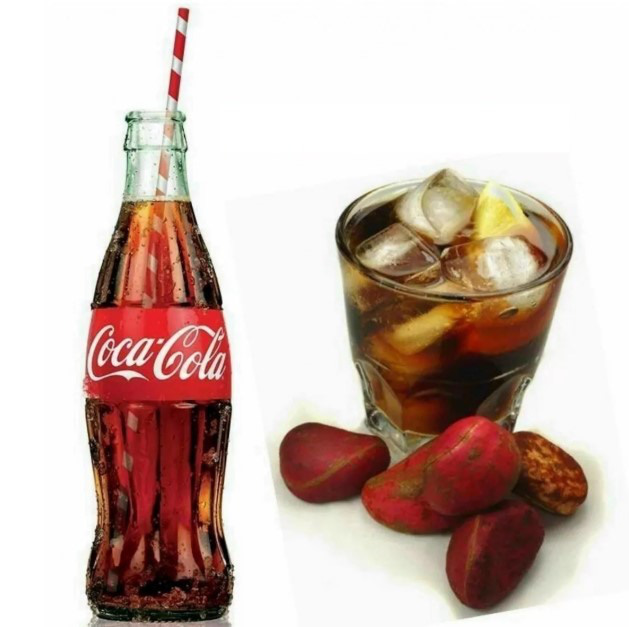 Vì sao Coca-Cola ra đời trước nhưng lại không thể kiện Pepsi  tội ăn cắp sáng chế còn Pepsi lại không thể cáo buộc Coca-Cola vi phạm bản quyền? - Ảnh 6.