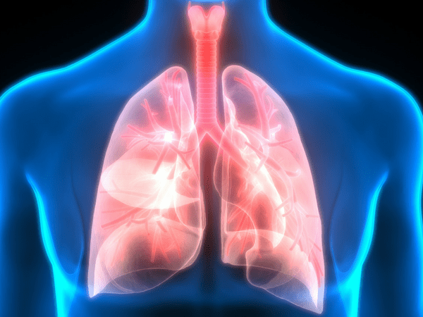  Ô nhiễm không khí kéo dài, cần làm gì để phổi luôn sạch? - Ảnh 1.