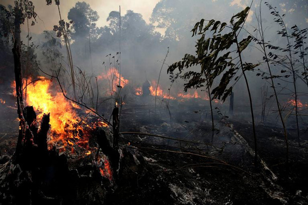 Cháy rừng kỷ lục ở Amazon đã thể hiện hậu quả: Dãy núi dài nhất thế giới hiện đang tan chảy với tốc độ cực nhanh - Ảnh 1.