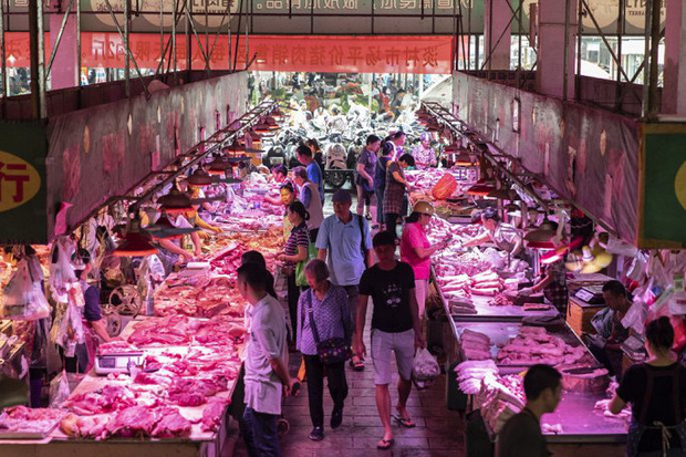 Ngân hàng Trung Quốc dùng thịt lợn hút khách hàng - Ảnh 1.