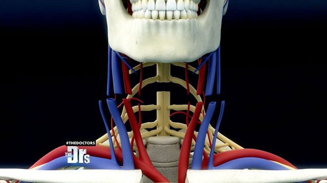 Một ca phẫu thuật ghép đầu người sẽ được thực hiện trước năm 2030? - Ảnh 2.