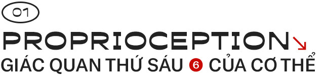 Giải mã những bí ẩn về proprioception, giác quan thứ sáu của tất cả chúng ta - Ảnh 2.