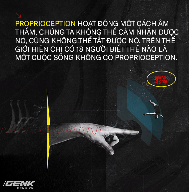 Giải mã những bí ẩn về proprioception, giác quan thứ sáu của tất cả chúng ta - Ảnh 3.