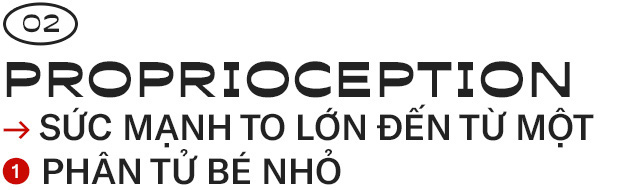 Giải mã những bí ẩn về proprioception, giác quan thứ sáu của tất cả chúng ta - Ảnh 4.