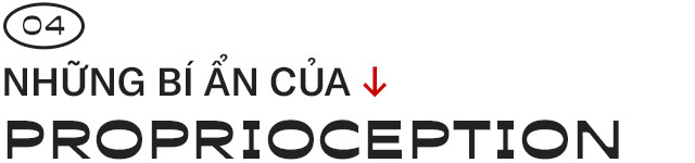 Giải mã những bí ẩn về proprioception, giác quan thứ sáu của tất cả chúng ta - Ảnh 8.