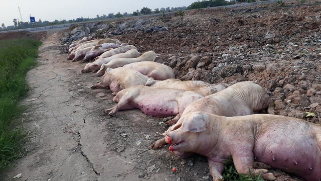 Khủng hoảng chưa từng có, 10 tỷ USD lung lay, triệu dân Việt lo sợ - Ảnh 2. Khủng hoảng chưa từng có, 10 tỷ USD lung lay, triệu dân Việt lo sợ - Ảnh 2.