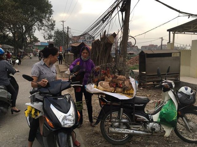  Rau xanh, hoa tươi ở Hà Nội rớt giá thê thảm sau Tết  - Ảnh 2.