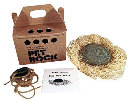 Phụ huynh đau đầu việc nuôi thú cưng của con trẻ? Đã có thú cưng đá Pet Rock, không cần đồ ăn, khỏi lo dọn phân: Case study bán hàng kinh điển nhất của thế kỷ 20 - Ảnh 5.