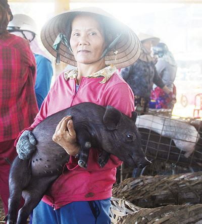 Chợ bế heo độc nhất xứ Quảng - Ảnh 1.