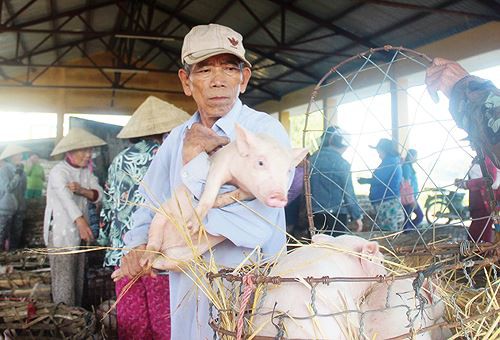 Chợ bế heo độc nhất xứ Quảng - Ảnh 2.