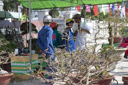  Làng chài tỉ phú  - Ảnh 2.